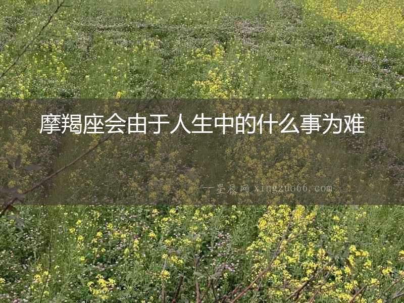 摩羯座會(huì)由于人生中的什么事為難