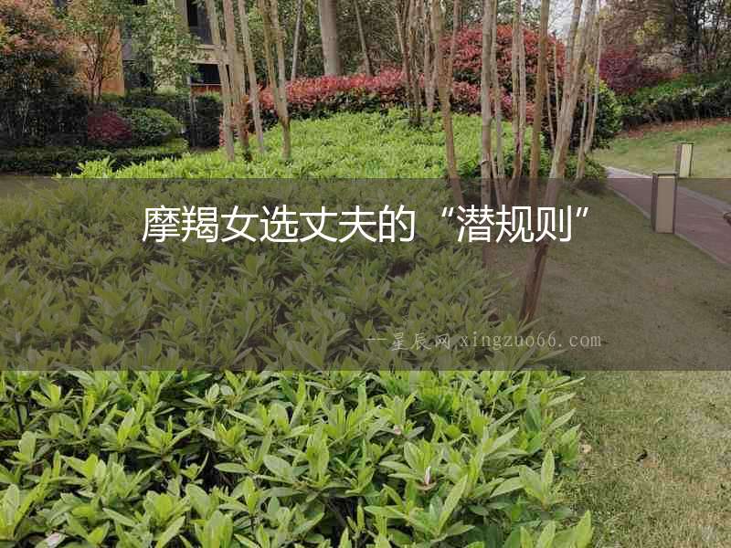 摩羯女選丈夫的“潛規則”