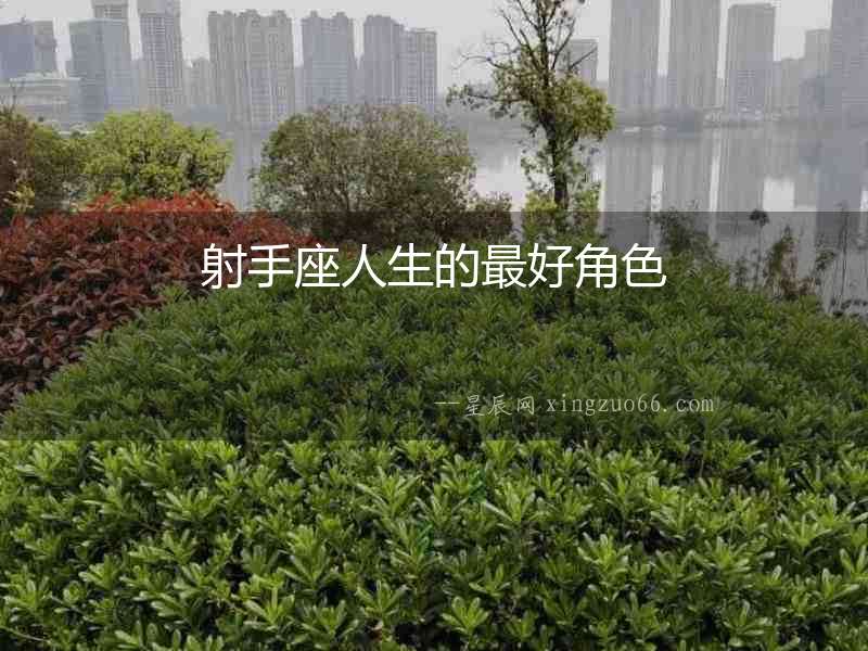 射手座人生的最好角色