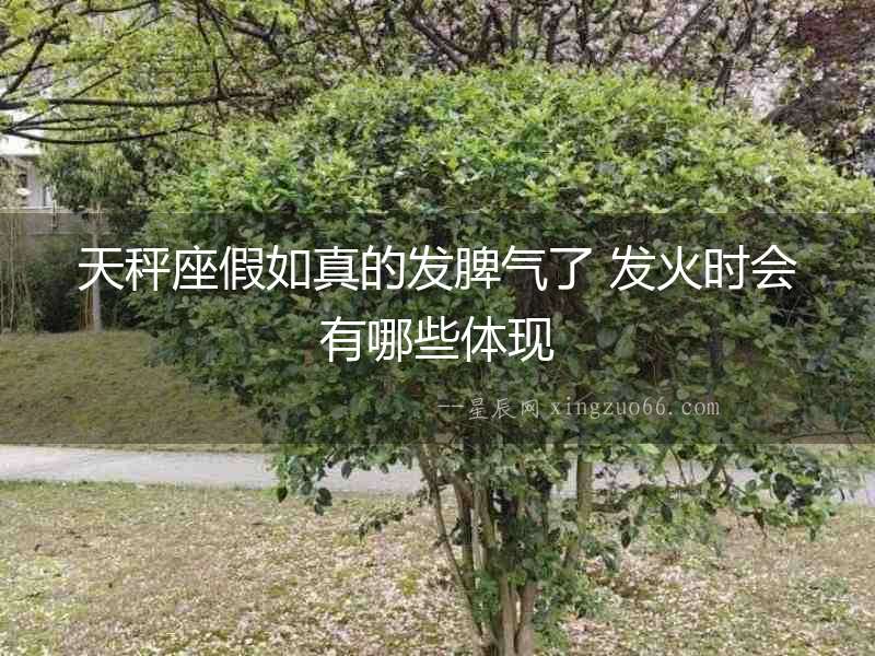 天秤座假如真的發(fā)脾氣了 發(fā)火時會有哪些體現(xiàn)