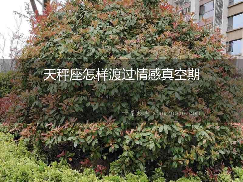 天秤座怎樣渡過情感真空期