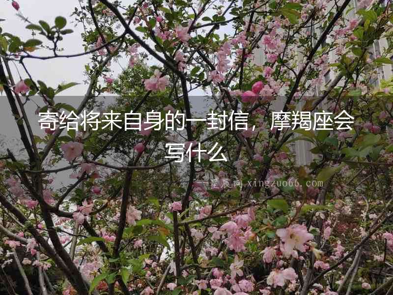 寄給將來自身的一封信，摩羯座會寫什么