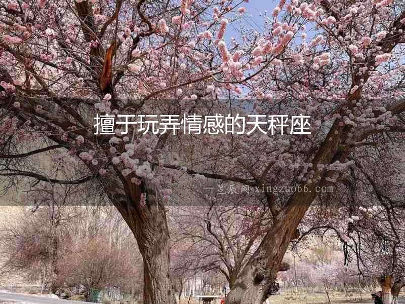 擅于玩弄情感的天秤座