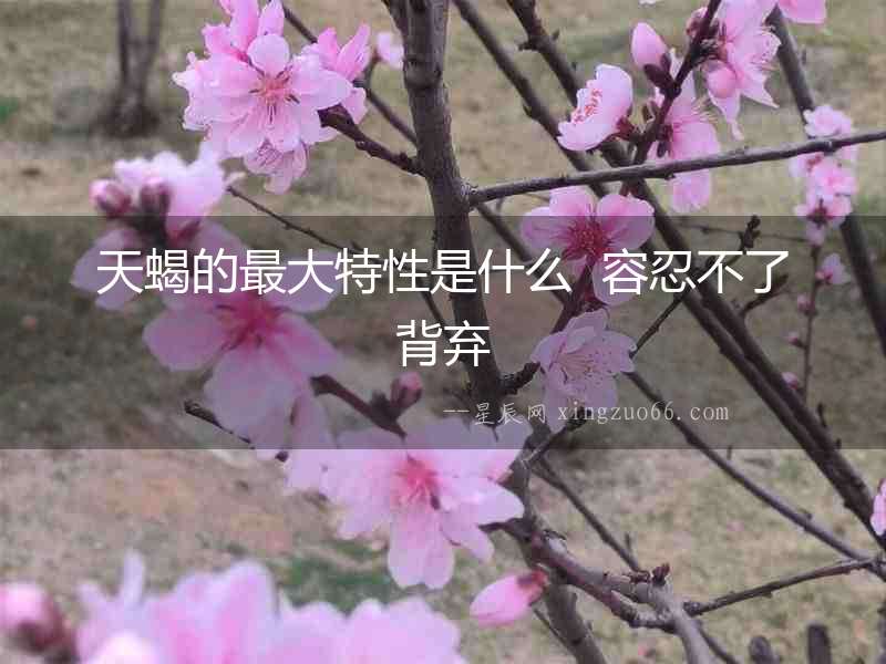 天蝎的最大特性是什么  容忍不了背棄