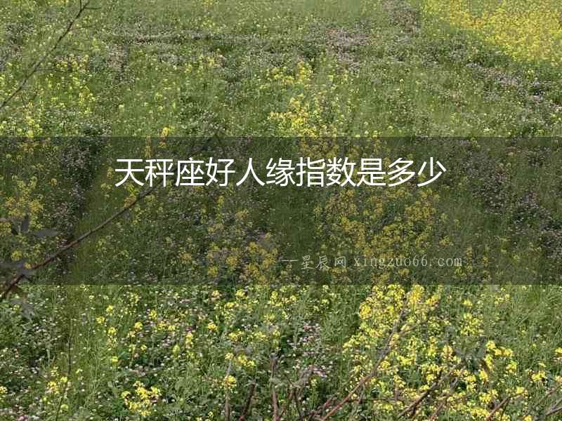 天秤座好人緣指數(shù)是多少
