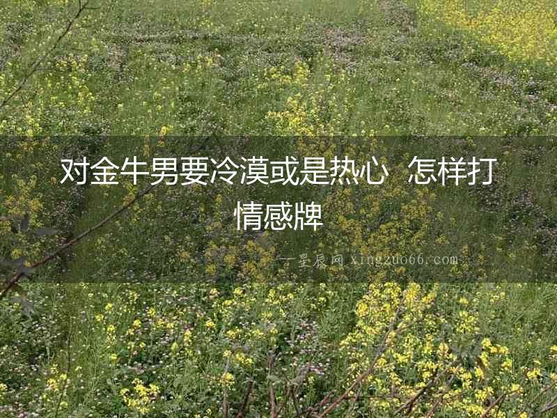 對金牛男要冷漠或是熱心  怎樣打情感牌