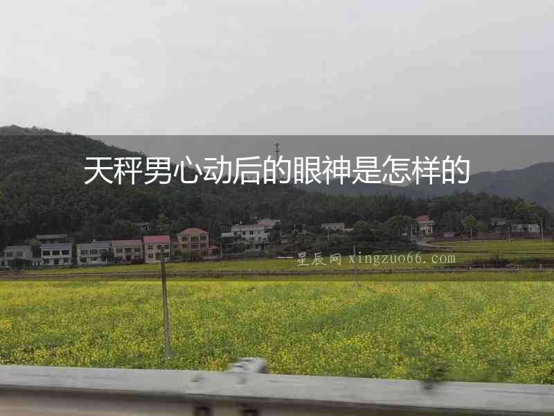 天秤男心動后的眼神是怎樣的