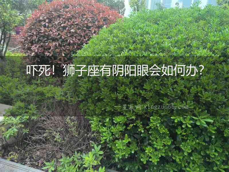 嚇死！獅子座有陰陽眼會如何辦？