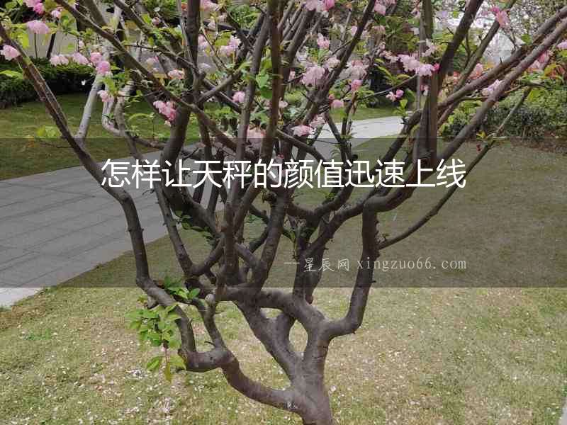怎樣讓天秤的顏值迅速上線