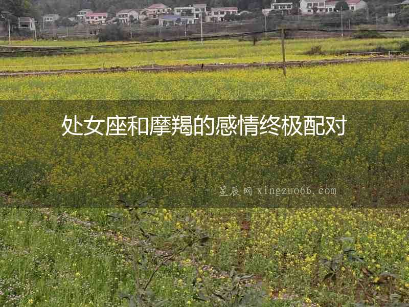 處女座和摩羯的感情終極配對