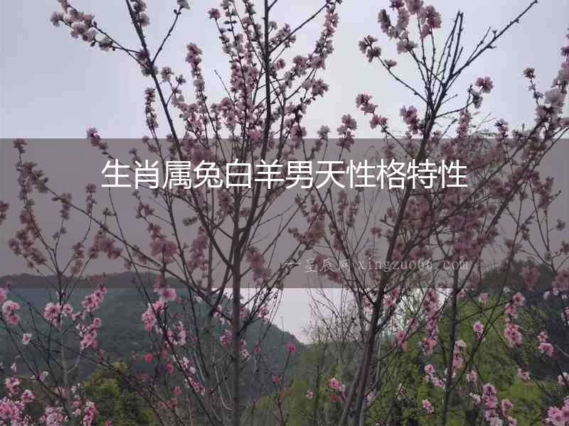生肖屬兔白羊男天性格特性