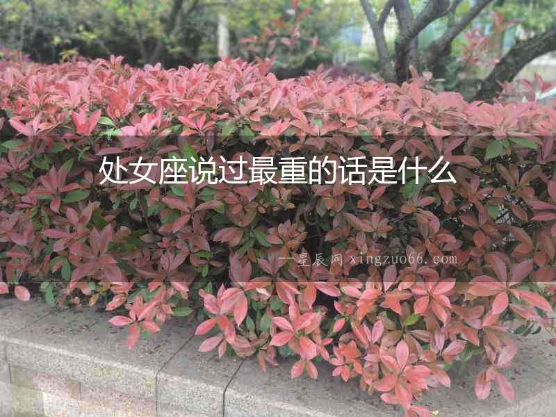 處女座說過最重的話是什么