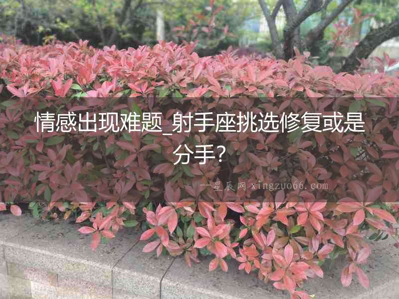 情感出現(xiàn)難題_射手座挑選修復(fù)或是分手？