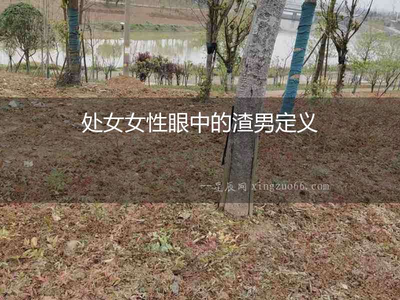 處女女性眼中的渣男定義