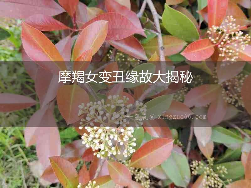 摩羯女變丑緣故大揭秘
