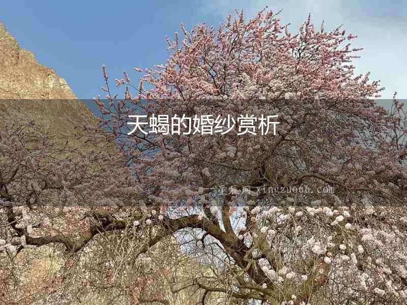 天蝎的婚紗賞析