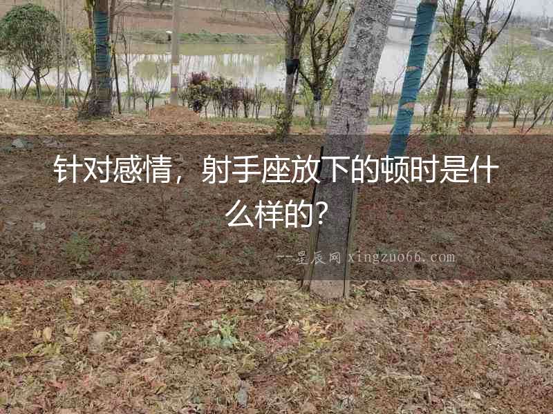 針對感情，射手座放下的頓時(shí)是什么樣的？