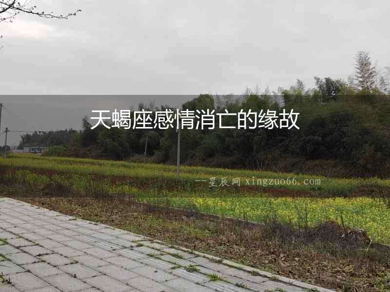 天蝎座感情消亡的緣故