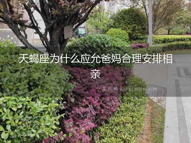 天蝎座為什么應(yīng)允爸媽合理安排相親
