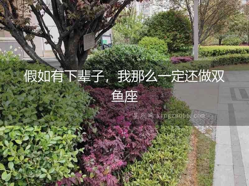 假如有下輩子，我那么一定還做雙魚座