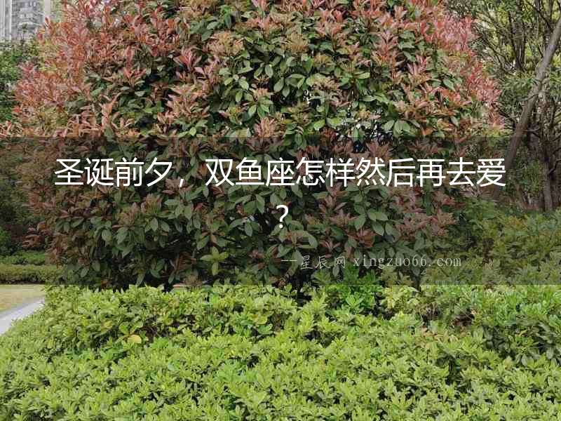 圣誕前夕，雙魚座怎樣然后再去愛？