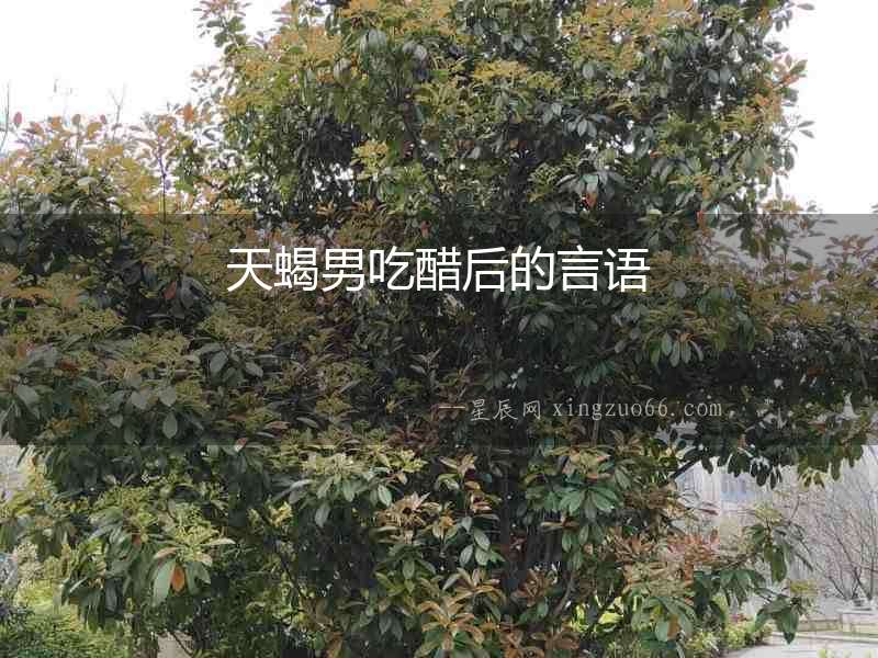 天蝎男吃醋后的言語