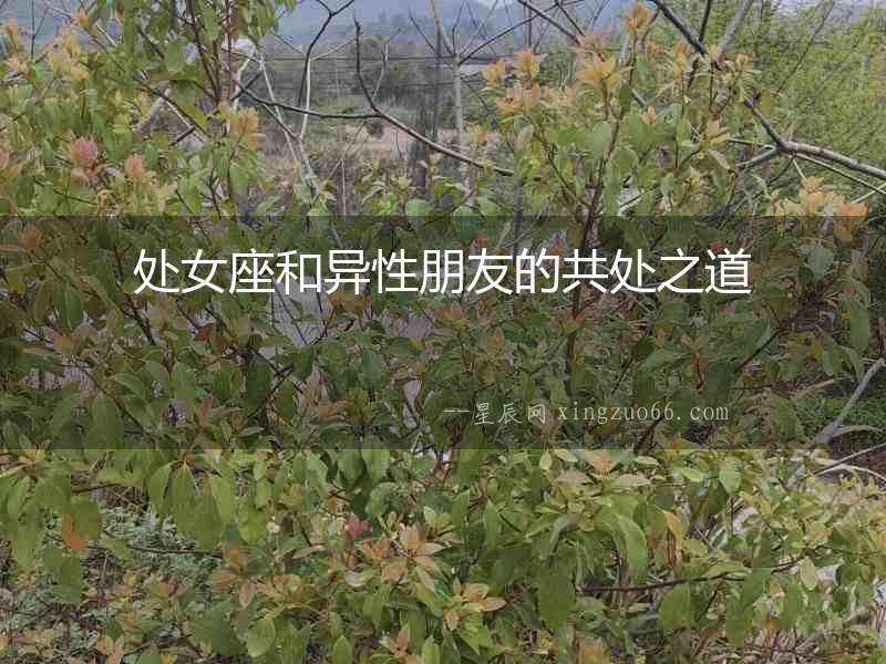 處女座和異性朋友的共處之道