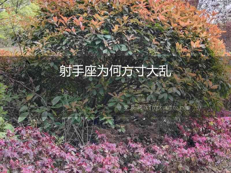 射手座為何方寸大亂