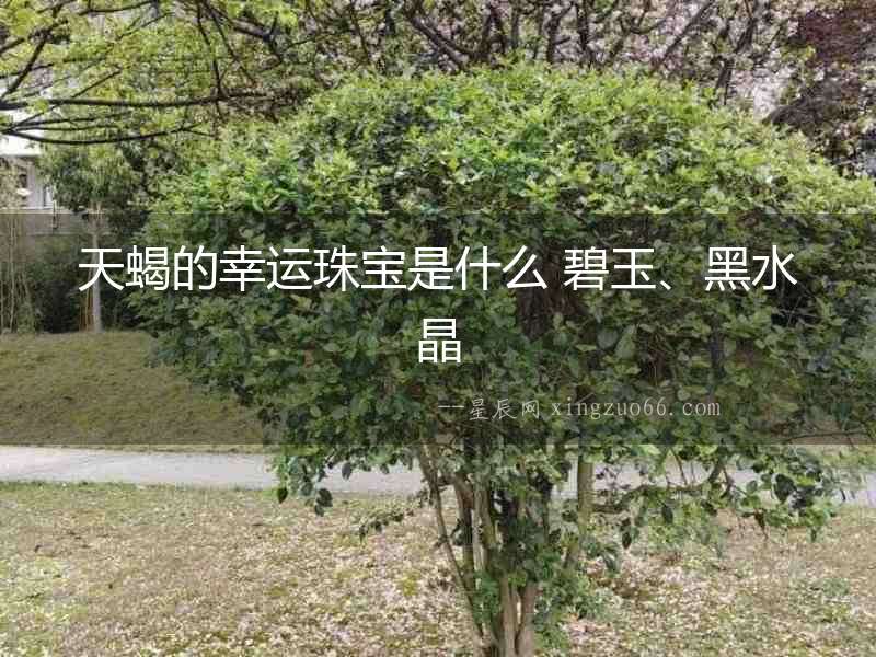 天蝎的幸運珠寶是什么 碧玉、黑水晶