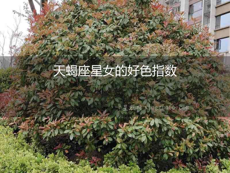 天蝎座星女的好色指數