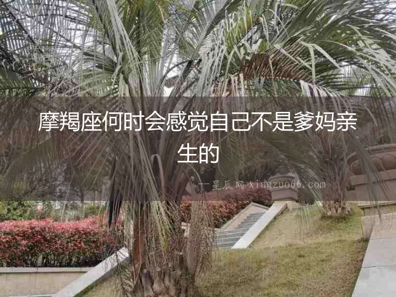 摩羯座何時會感覺自己不是爹媽親生的