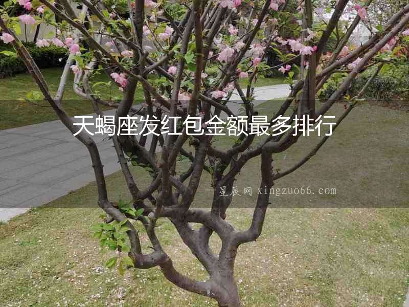 天蝎座發紅包金額最多排行