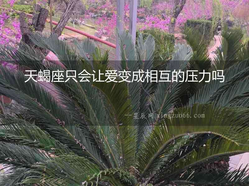天蝎座只會讓愛變成相互的壓力嗎