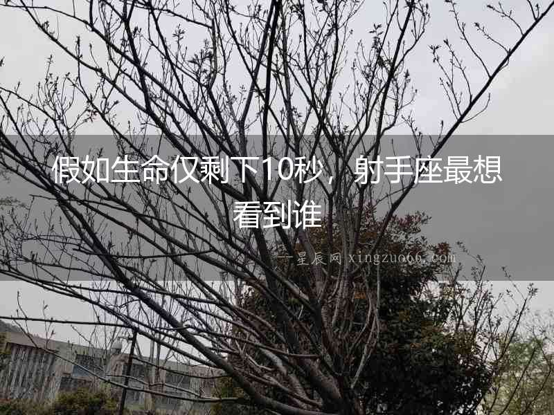 假如生命僅剩下10秒，射手座最想看到誰