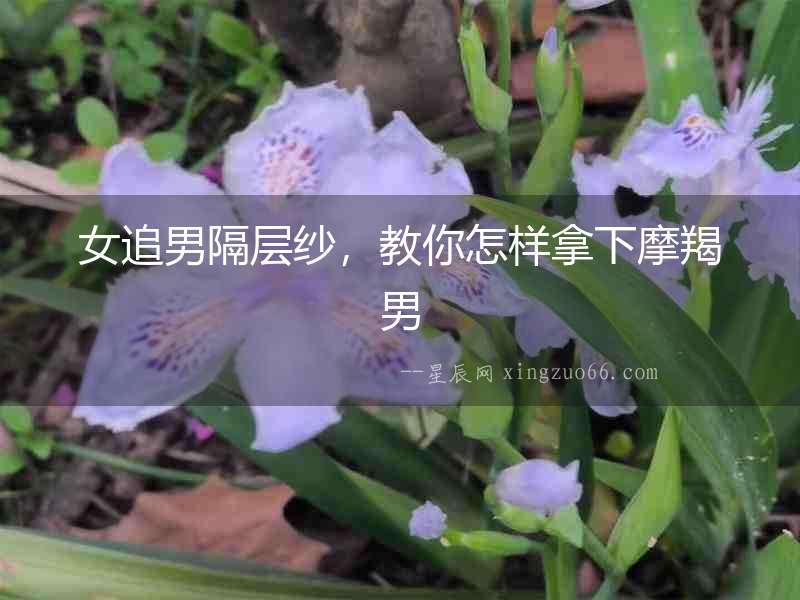 女追男隔層紗，教你怎樣拿下摩羯男