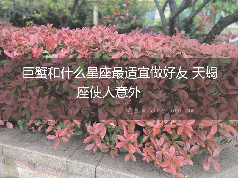 巨蟹和什么星座最適宜做好友 天蝎座使人意外  　　