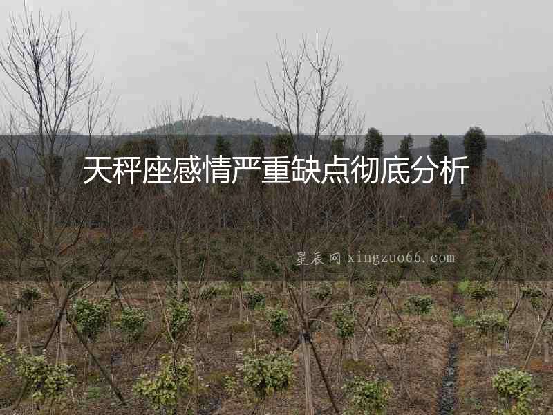 天秤座感情嚴重缺點徹底分析