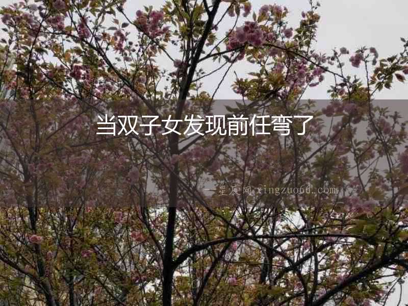 當雙子女發現前任彎了