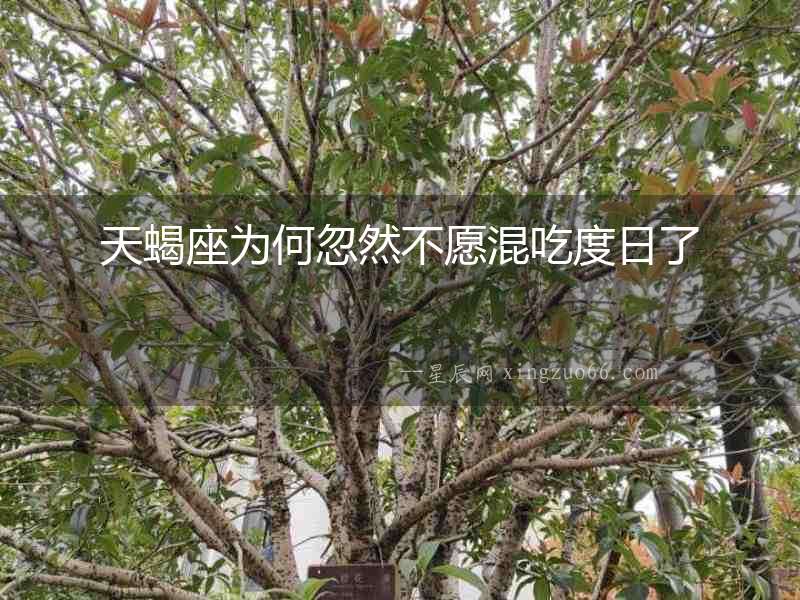 天蝎座為何忽然不愿混吃度日了