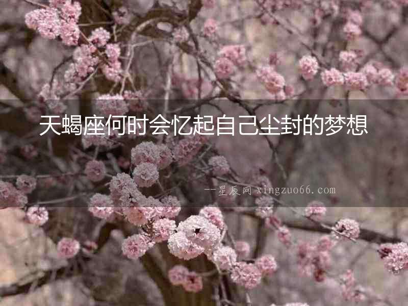 天蝎座何時會憶起自己塵封的夢想