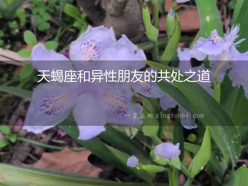 天蝎座和異性朋友的共處之道