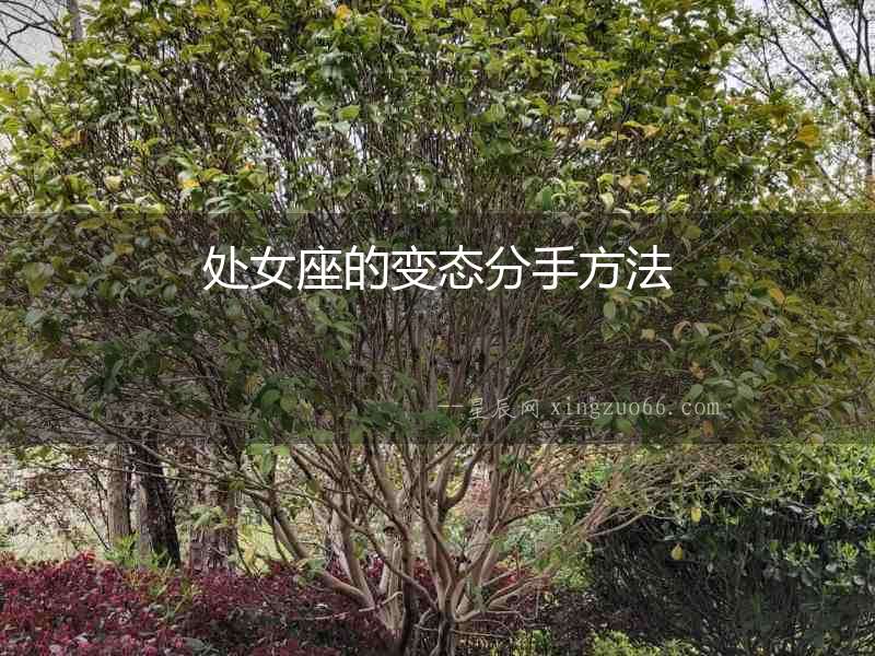 處女座的變態分手方法