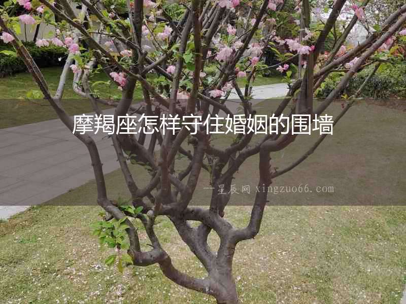 摩羯座怎樣守住婚姻的圍墻