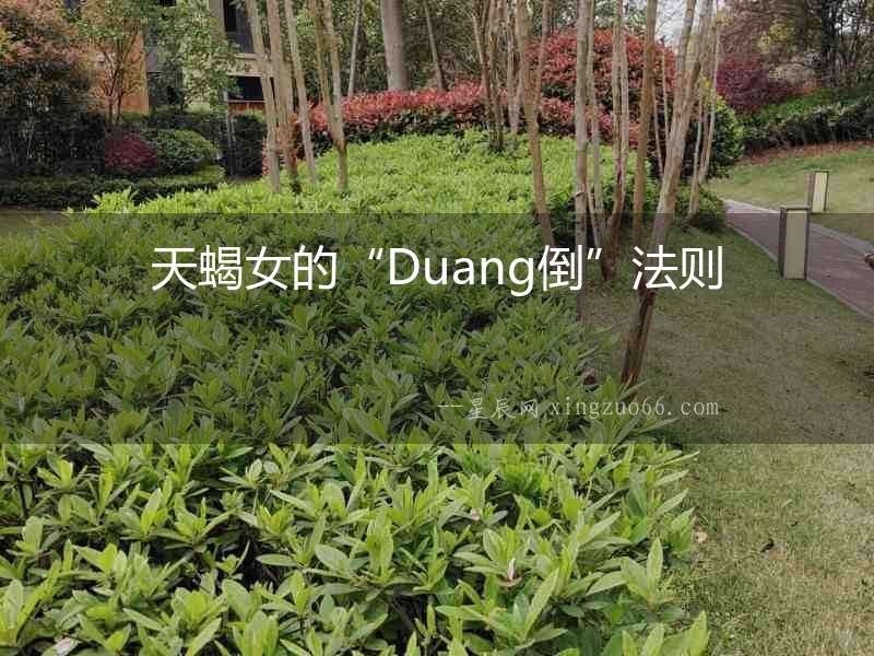 天蝎女的“Duang倒”法則