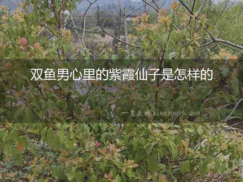 雙魚男心里的紫霞仙子是怎樣的