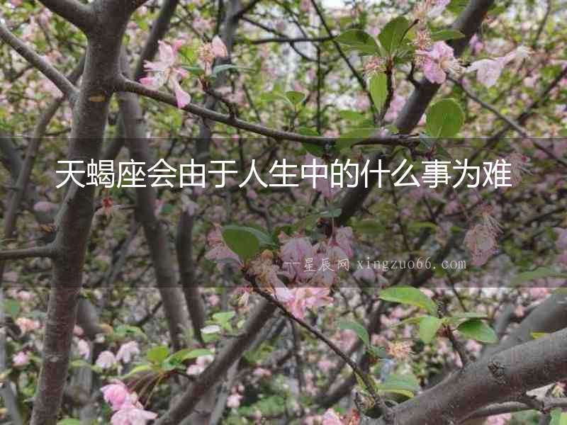 天蝎座會由于人生中的什么事為難