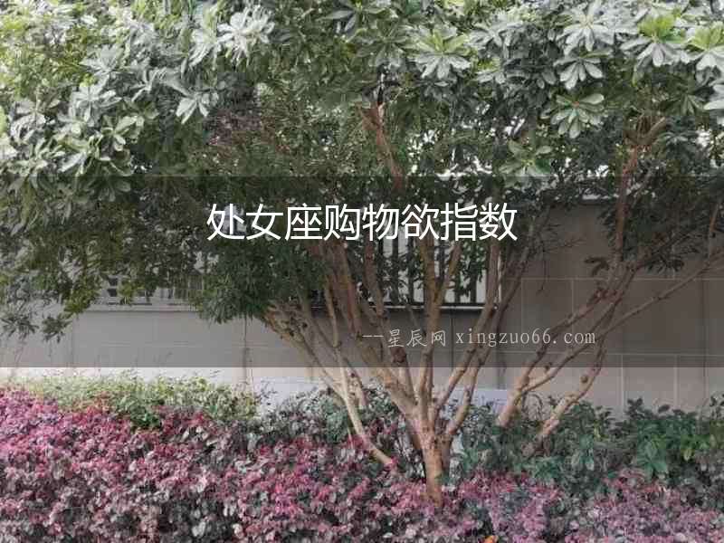 處女座購物欲指數