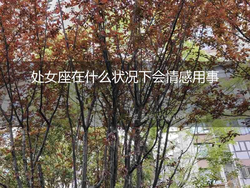 處女座在什么狀況下會情感用事