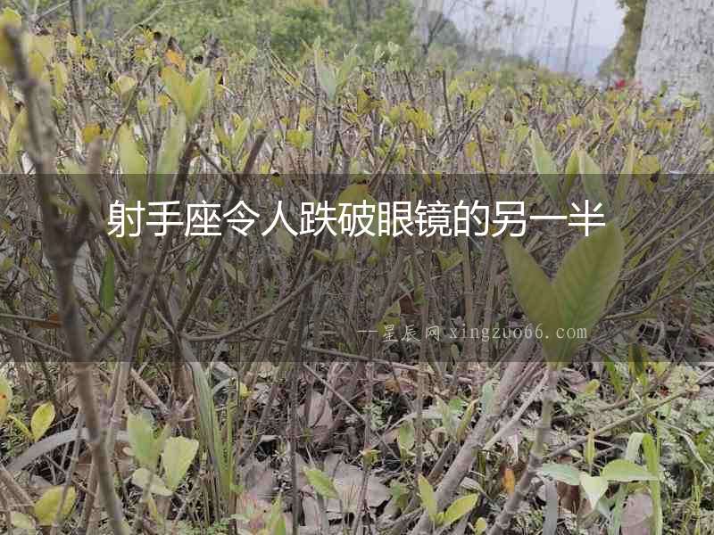 射手座令人跌破眼鏡的另一半