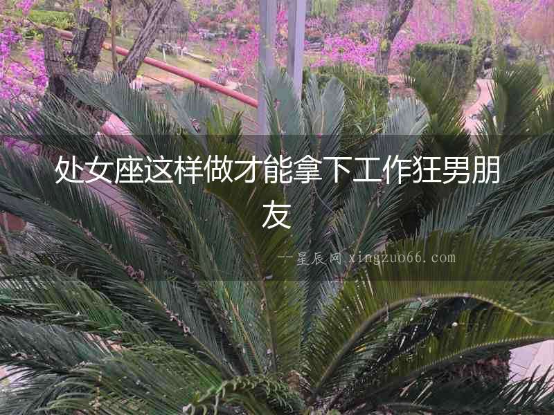 處女座這樣做才能拿下工作狂男朋友